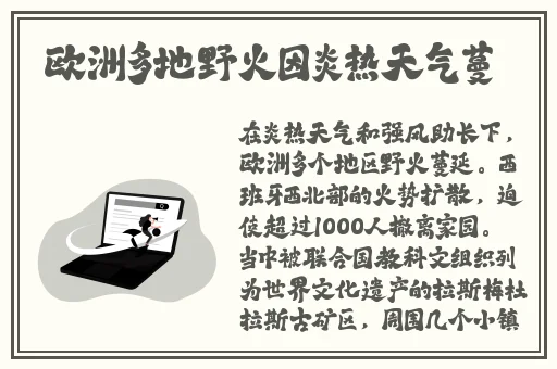 国偷自产一区二区免费